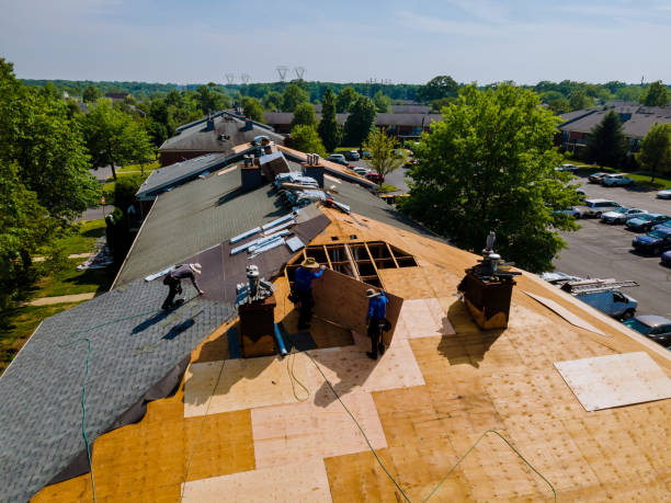 Roof Gutter Cleaning in Lake Holiday, VA