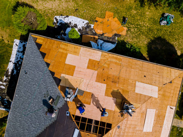Best Flat Roof Repair Services  in Lake Holiday, VA