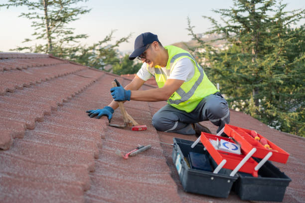 Trusted Lake Holiday, VA Roofing Contractor Experts