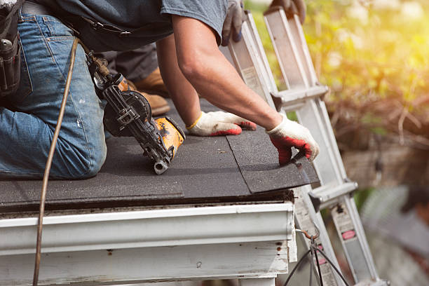 Best Roof Restoration Services  in Lake Holiday, VA