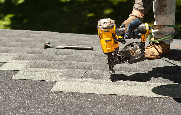 Best Local Roofing Companies  in Lake Holiday, VA