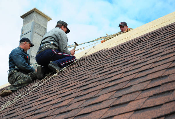 Best Residential Roofing Contractor  in Lake Holiday, VA