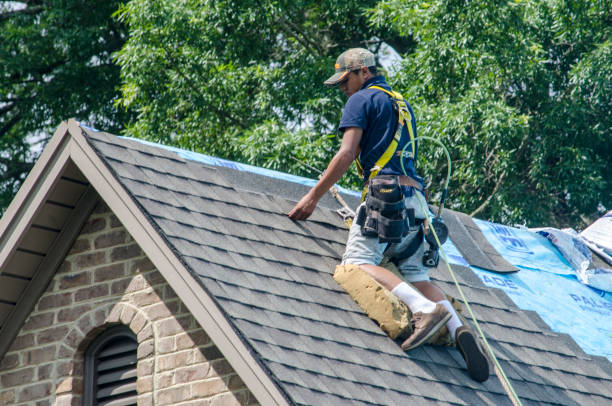 Best Affordable Roof Replacement  in Lake Holiday, VA